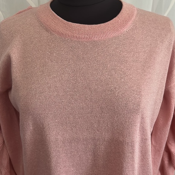 Anthropologie, Project Naadam Pink Impressario Ruffle Crewneck Pullover - Picture 2 of 7